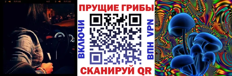 Галлюциногенные грибы прущие грибы  Заринск 